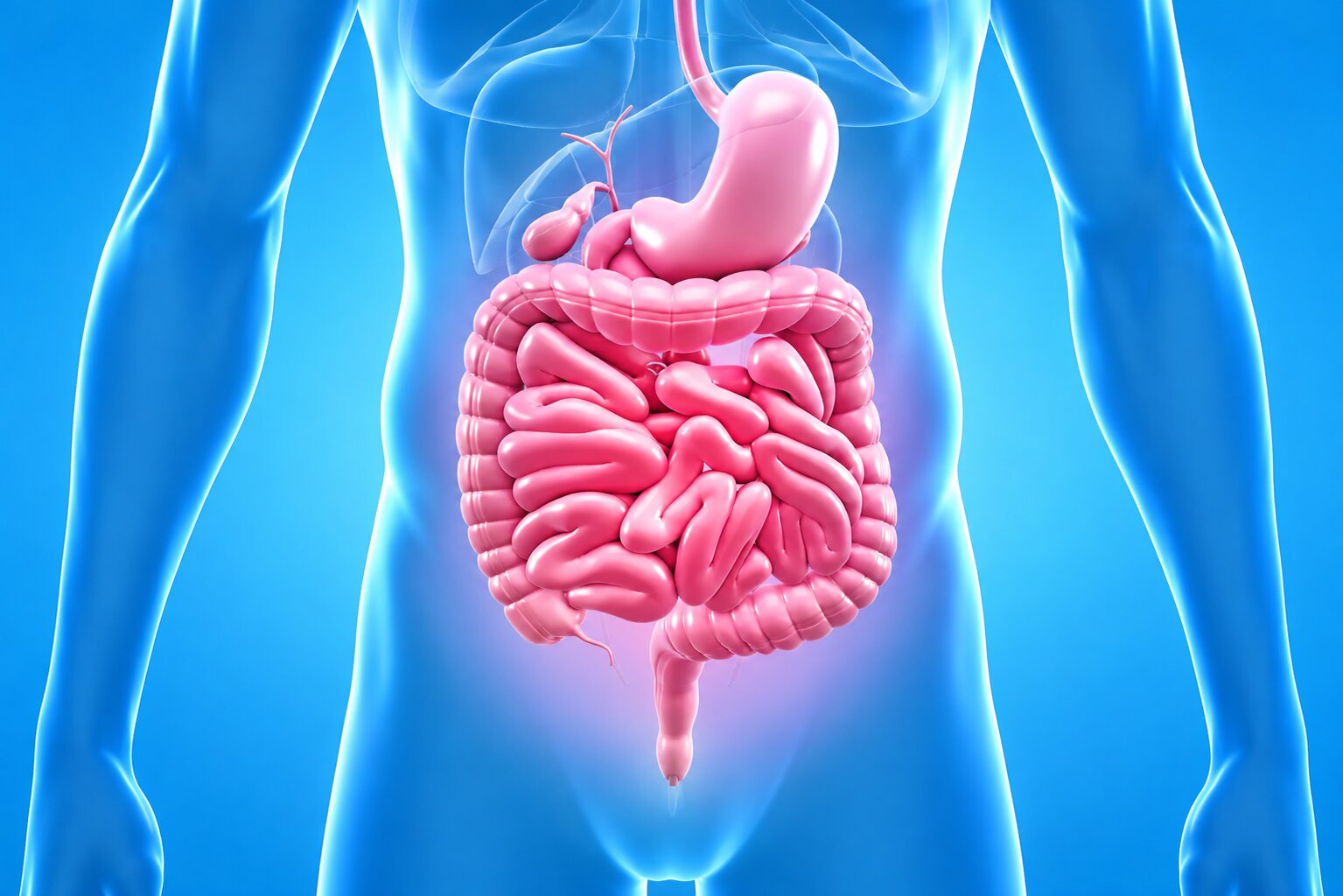 what-is-gut-health
